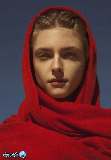 دانلود رمان افرای ابلق اثر بنفشه و آرام بدون سانسور